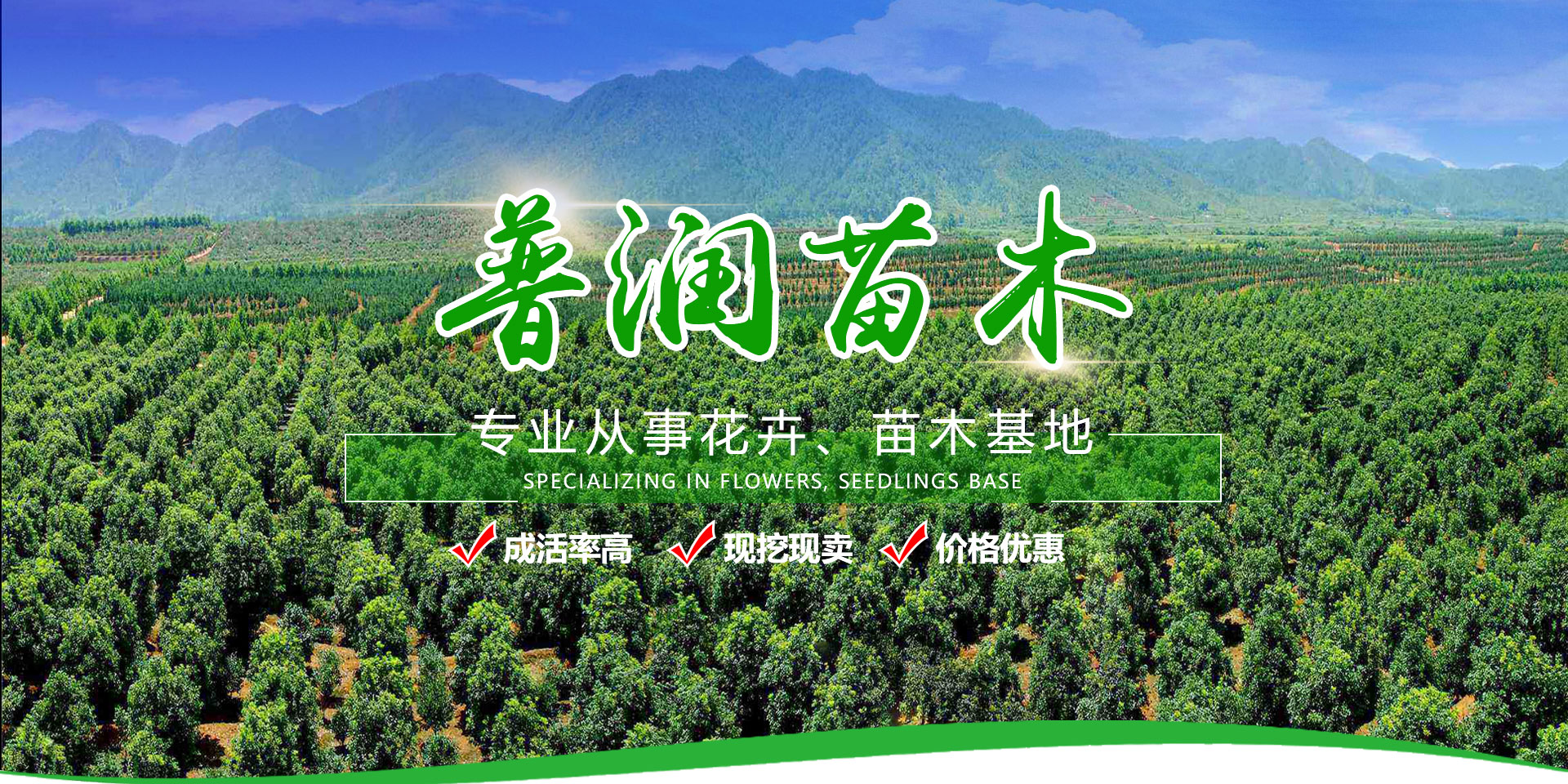 青州市普润苗木有限公司